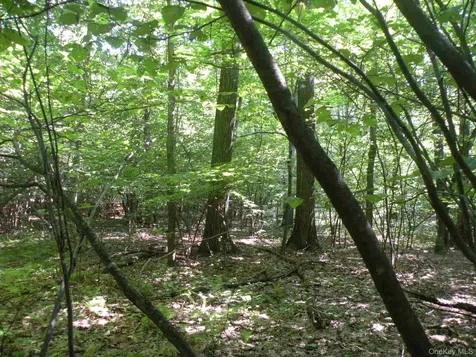 618 Bean River Road Millerton NY 12546