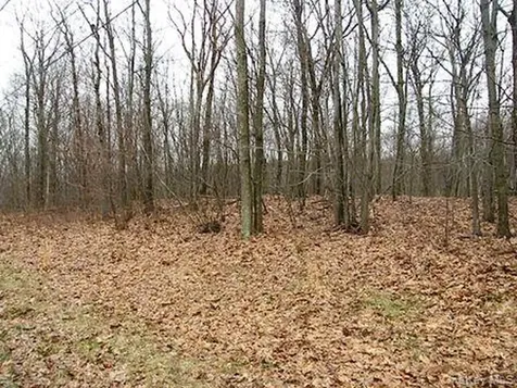 618 Bean River Road Millerton NY 12546