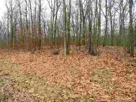 618 Bean River Road Millerton NY 12546