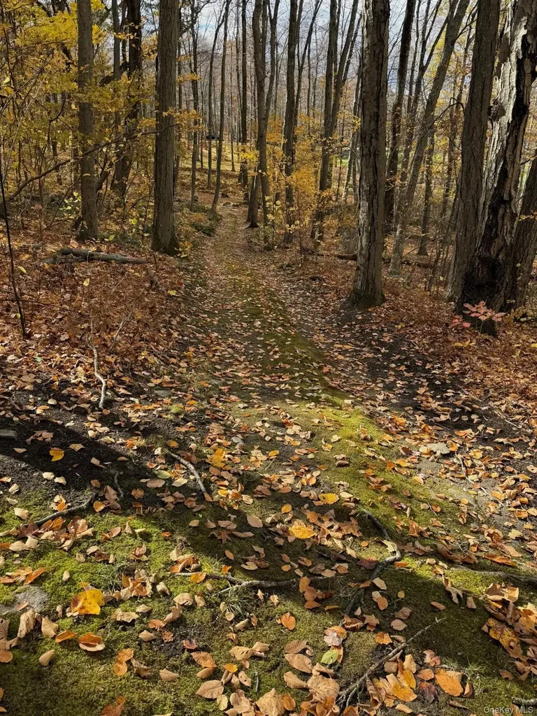 180 Dean Road Stormville NY 12582