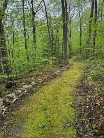 180 Dean Road Stormville NY 12582
