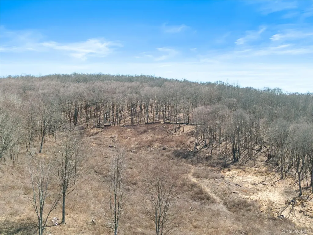 70 Barmore Road Lagrangeville NY 12540