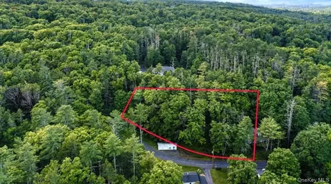 20 Wintergreen Hill Road Kingston NY 12401