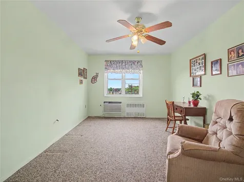 11 Balint Yonkers NY 10710