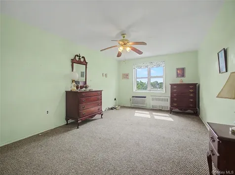 11 Balint Yonkers NY 10710