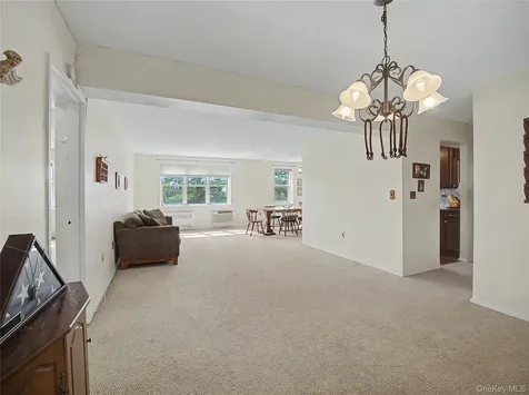 11 Balint Yonkers NY 10710