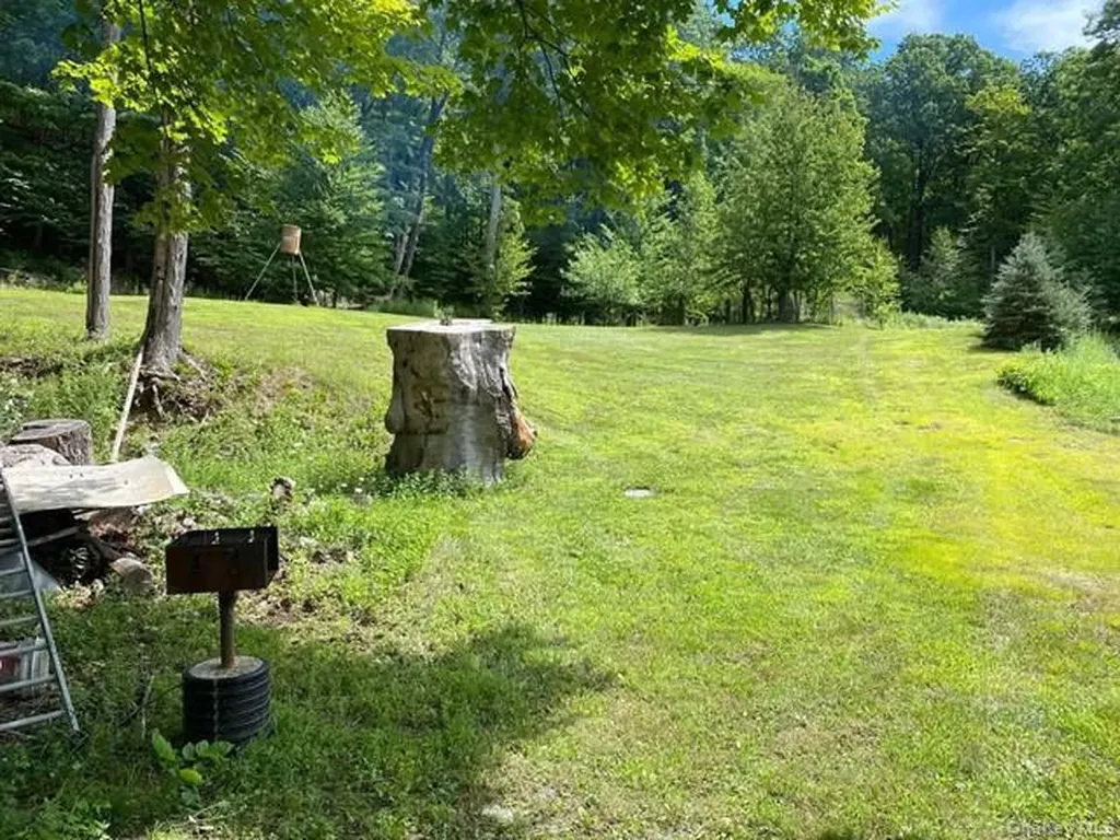Mile High Road Elizaville NY 12523