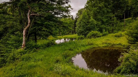 385 Sundown Road Grahamsville NY 12740