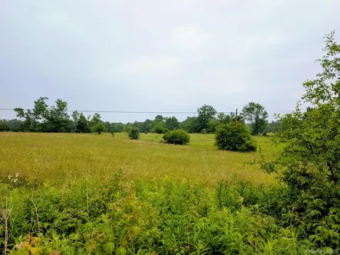 196 Gabriel Road Cochecton NY 12726