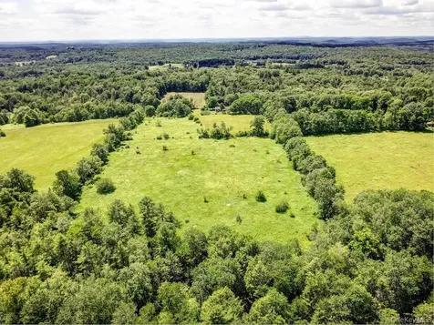 196 Gabriel Road Cochecton NY 12726