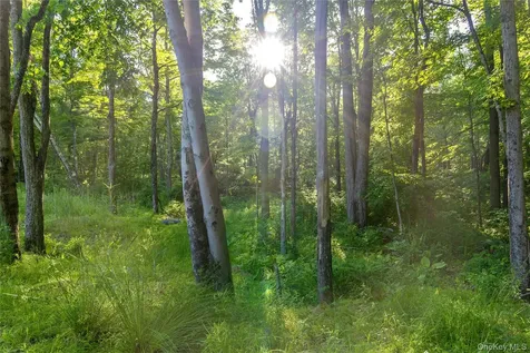 Mallory Road Verbank NY 12585