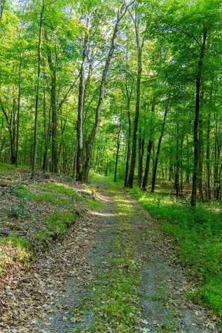 Mallory Road Verbank NY 12585