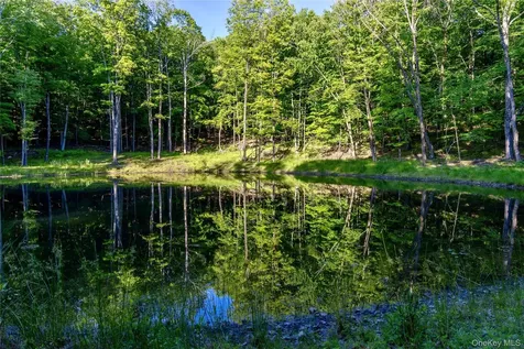 Mallory Road Verbank NY 12585