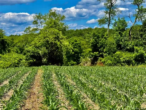 513 Rossway Road Pleasant Valley NY 12569