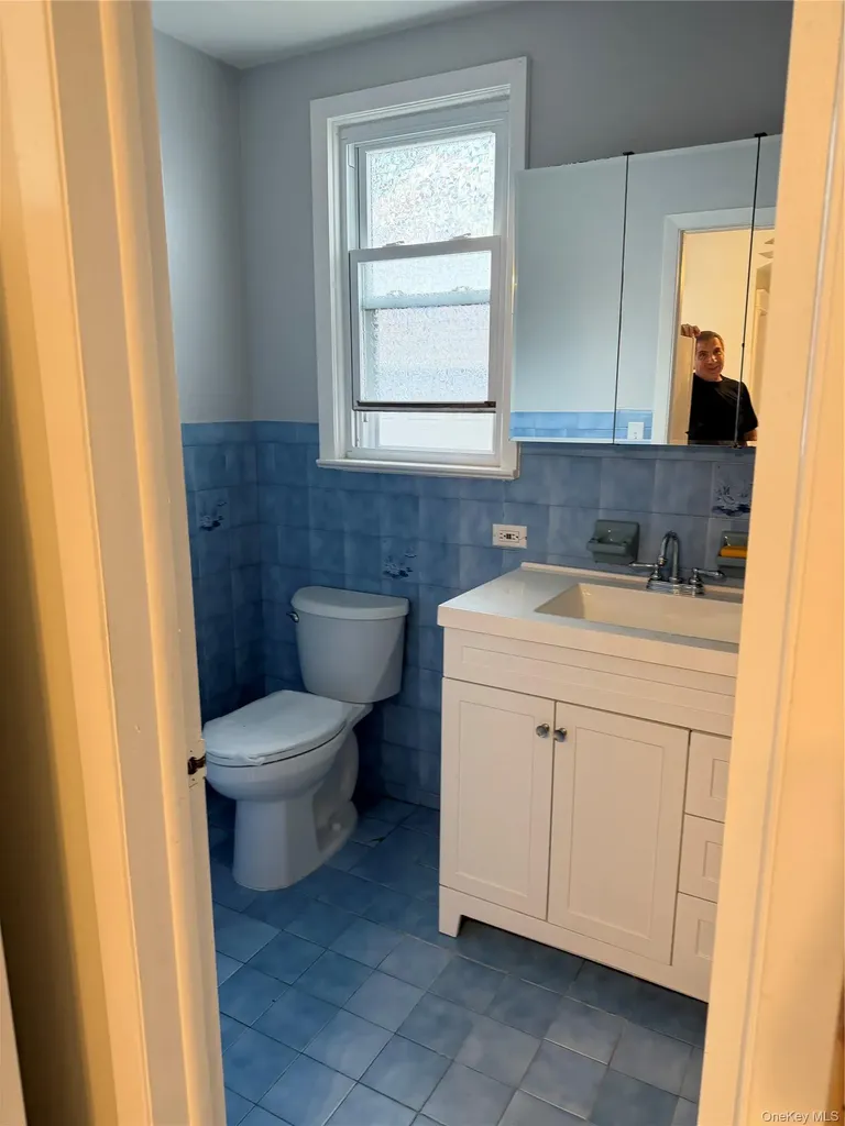 7 Chestnut Street Westbury NY 11590
