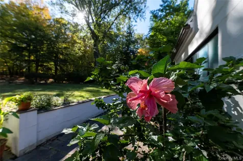 164 S Mountain Road New City NY 10956