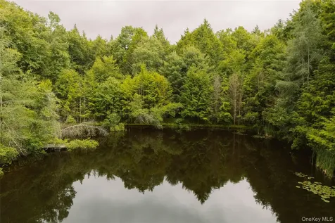 196 County Road 115 Bethel NY 12726