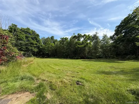 3 Kehrley Lane Swan Lake NY 12783