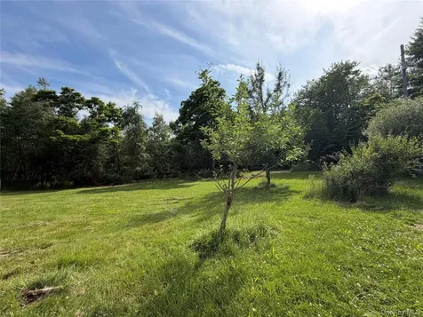 3 Kehrley Lane Swan Lake NY 12783