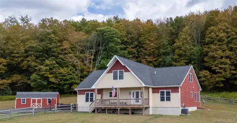 336 County (Hankins Rd) Road Roscoe NY 12776