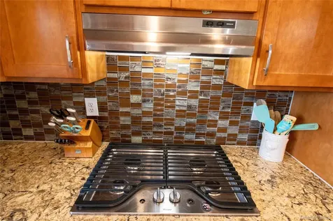 336 County (Hankins Rd) Road Roscoe NY 12776