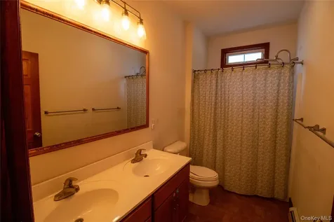 336 County (Hankins Rd) Road Roscoe NY 12776
