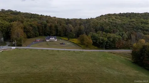 336 County (Hankins Rd) Road Roscoe NY 12776