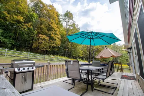 336 County (Hankins Rd) Road Roscoe NY 12776