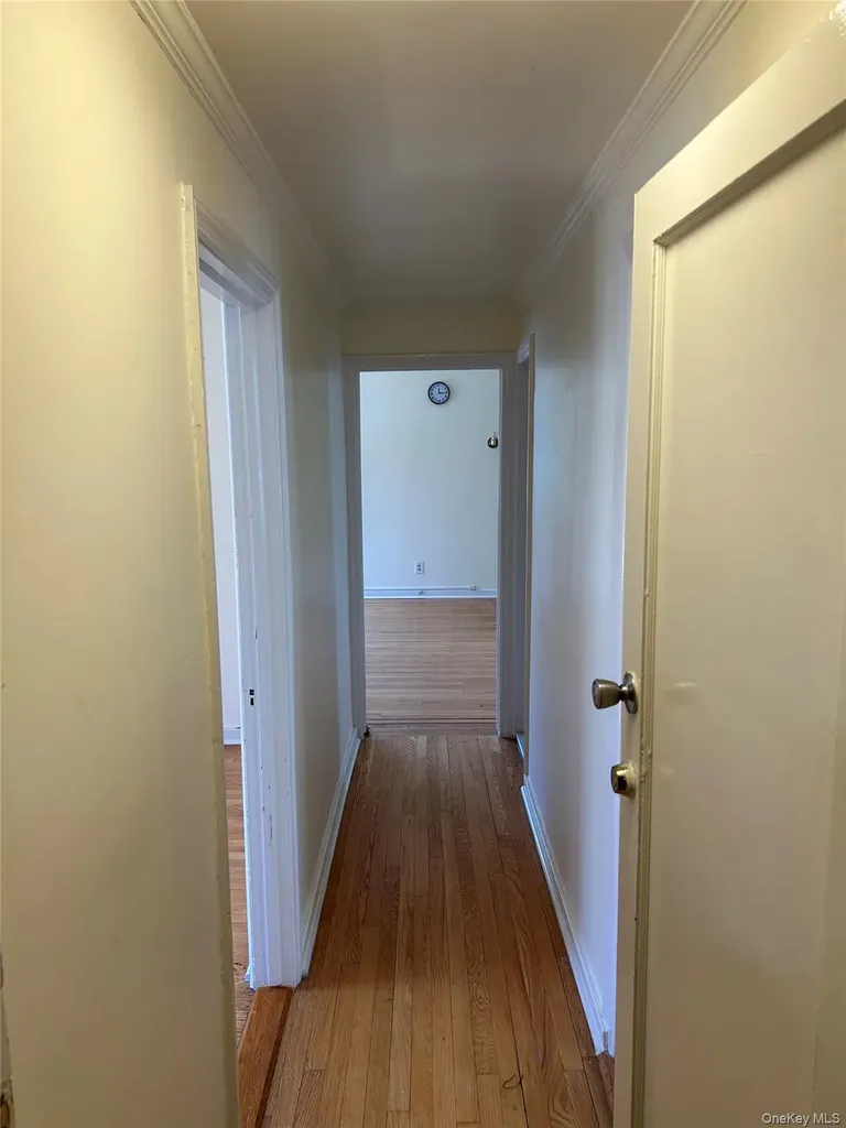 1585 New York Avenue Brooklyn NY 11210