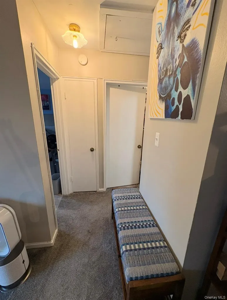 226-01 Hillside Avenue Queens Village NY 11427