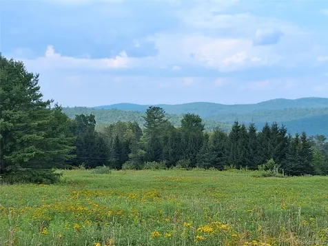 66 Milton Smith Road Long Eddy NY 12760