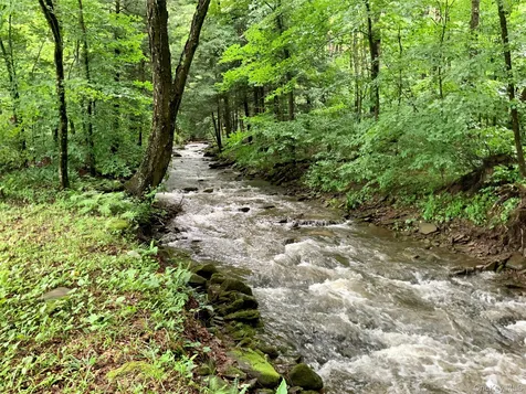 66 Milton Smith Road Long Eddy NY 12760
