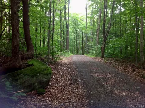 66 Milton Smith Road Long Eddy NY 12760
