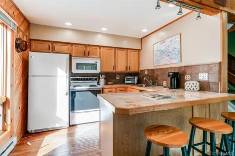 56 Highlands Drive Hunter NY 12442