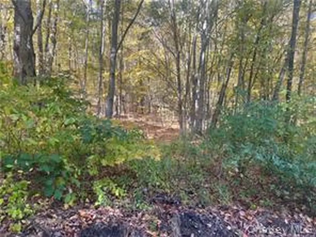 0 Budd Lane Millerton NY 12546
