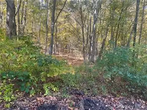 0 Budd Lane Millerton NY 12546