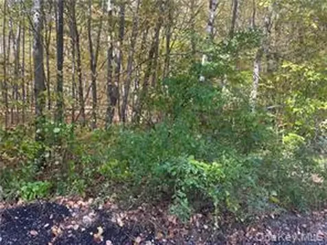 0 Budd Lane Millerton NY 12546