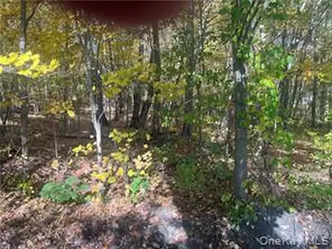0 Budd Lane Millerton NY 12546