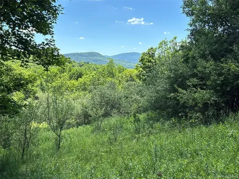 2636 Murphy Hill Road Andes NY 13731