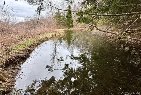 2636 Murphy Hill Road Andes NY 13731