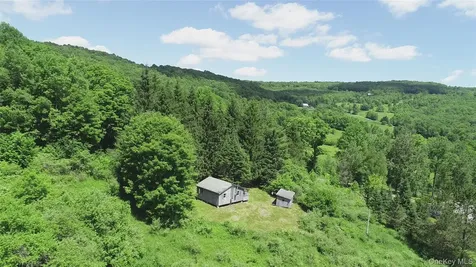 2636 Murphy Hill Road Andes NY 13731