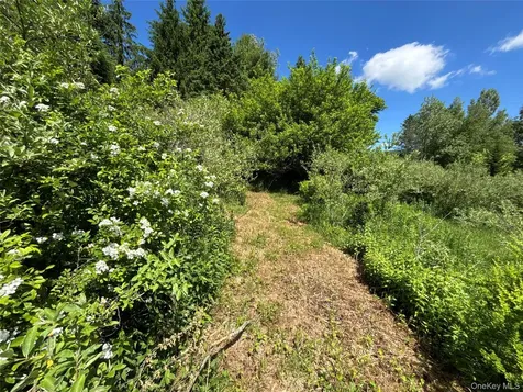 2636 Murphy Hill Road Andes NY 13731