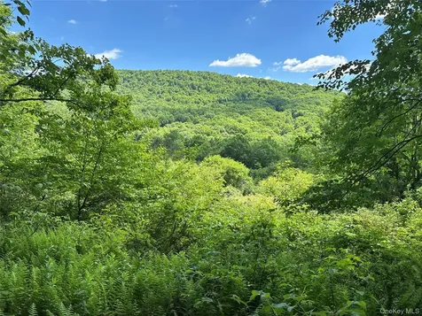 2636 Murphy Hill Road Andes NY 13731