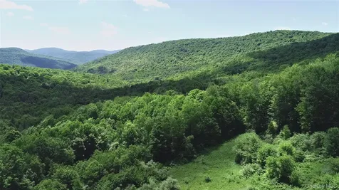 2636 Murphy Hill Road Andes NY 13731