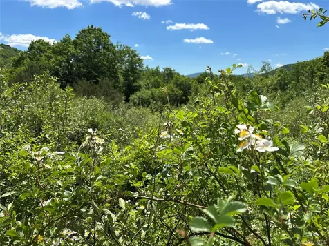 2636 Murphy Hill Road Andes NY 13731