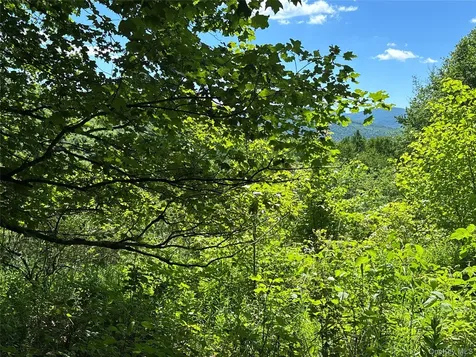 2636 Murphy Hill Road Andes NY 13731