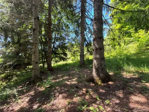 2636 Murphy Hill Road Andes NY 13731