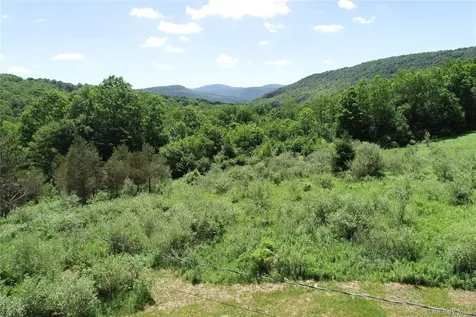 2636 Murphy Hill Road Andes NY 13731