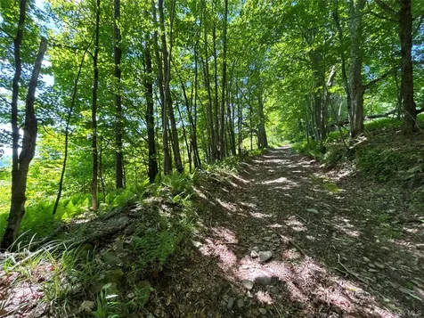 2636 Murphy Hill Road Andes NY 13731