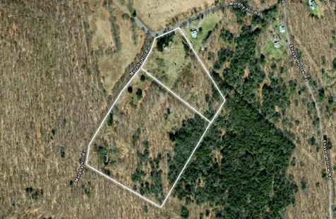 2636 Murphy Hill Road Andes NY 13731
